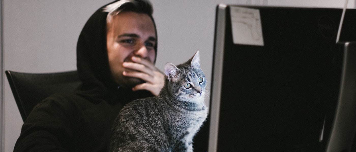 Foto: Man und Katze schauen vor dem Computer sitzend auf Bildschirm